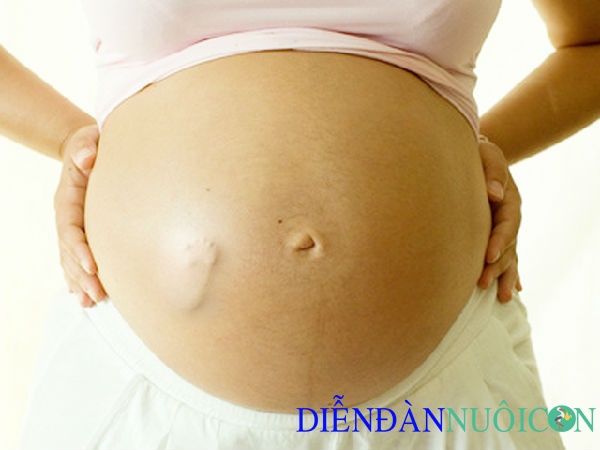 Dấu hiệu thai nhi phát triển bình thường
